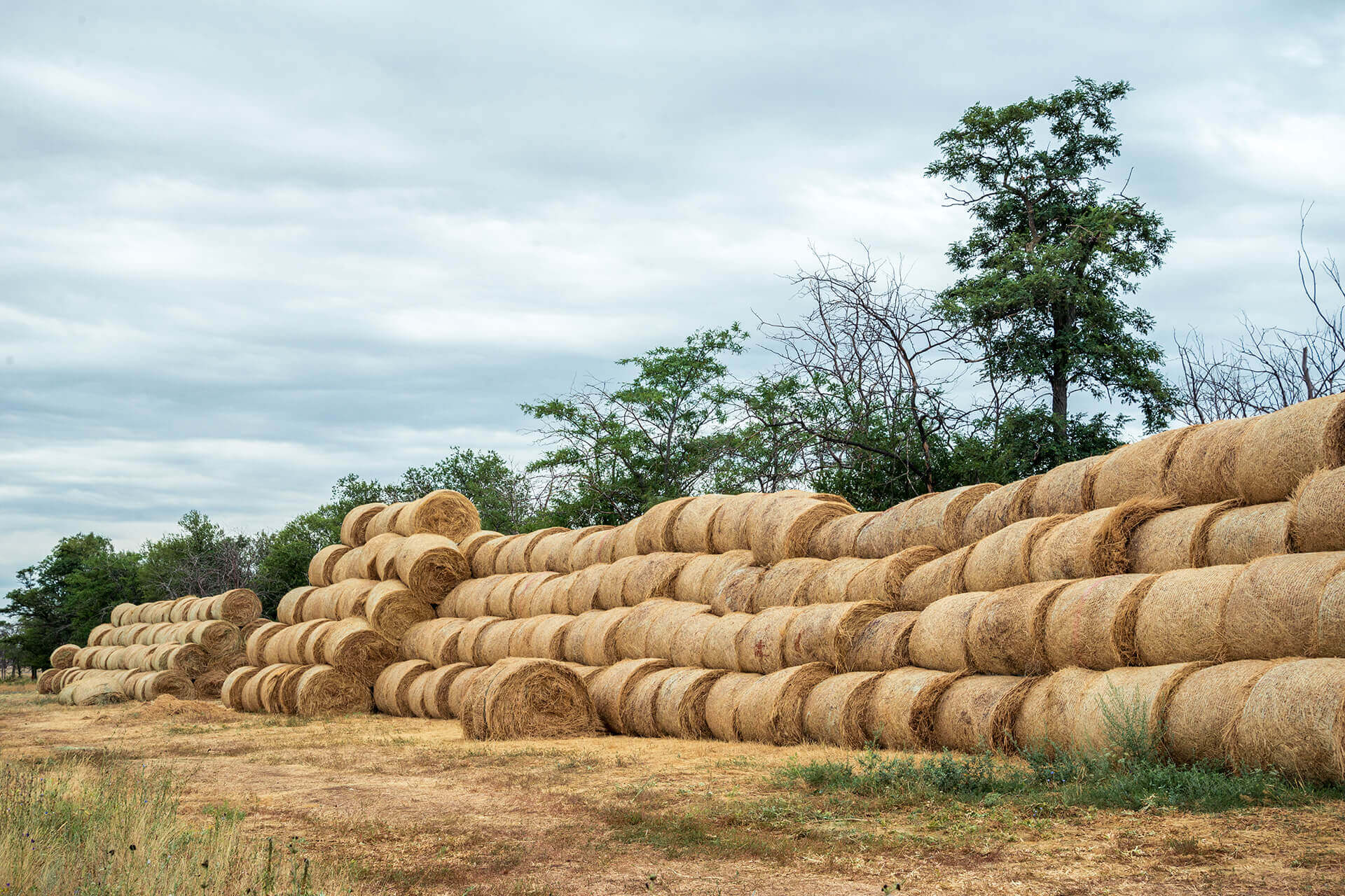 Investing in Growth: How GAAD Empowers Smallholder Farmers